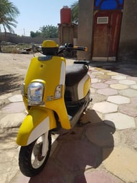 بوليسي • القرنه • البصره
