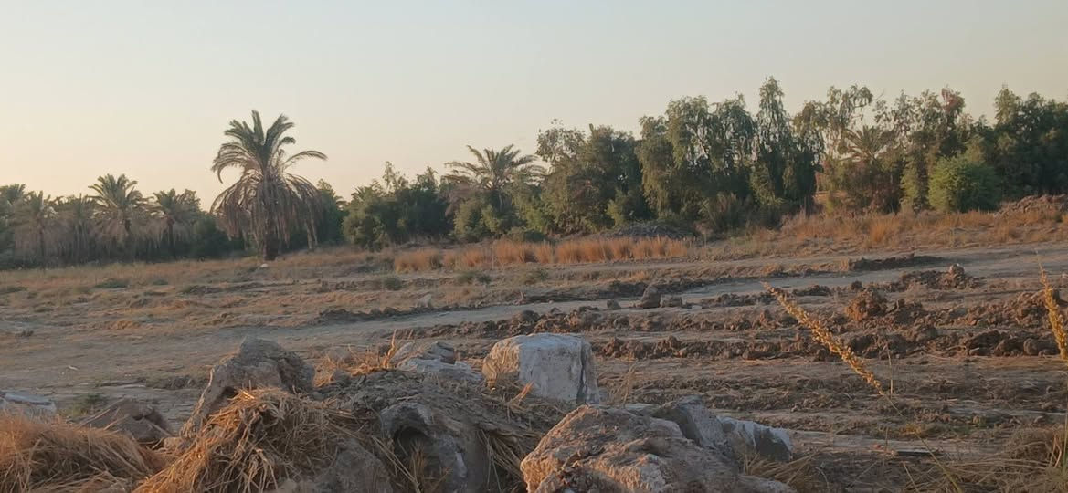 سلام وعليكم
عندي دوانم ملك صرف لبيع عنوان طريق بغداد   ديالى منطقه شاعوره تصلح مزارع تبليط مي كهرباء منطقه قريبه على شاطيه ***********
