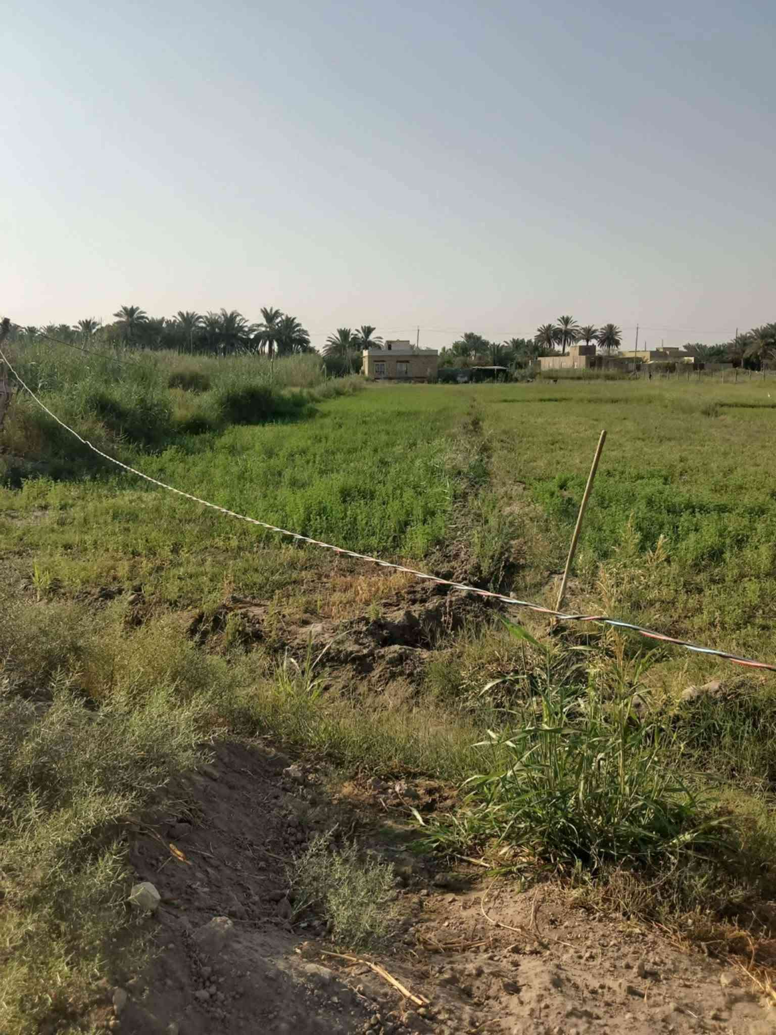 ٢دونم • على الشط • السنيه البو نائل