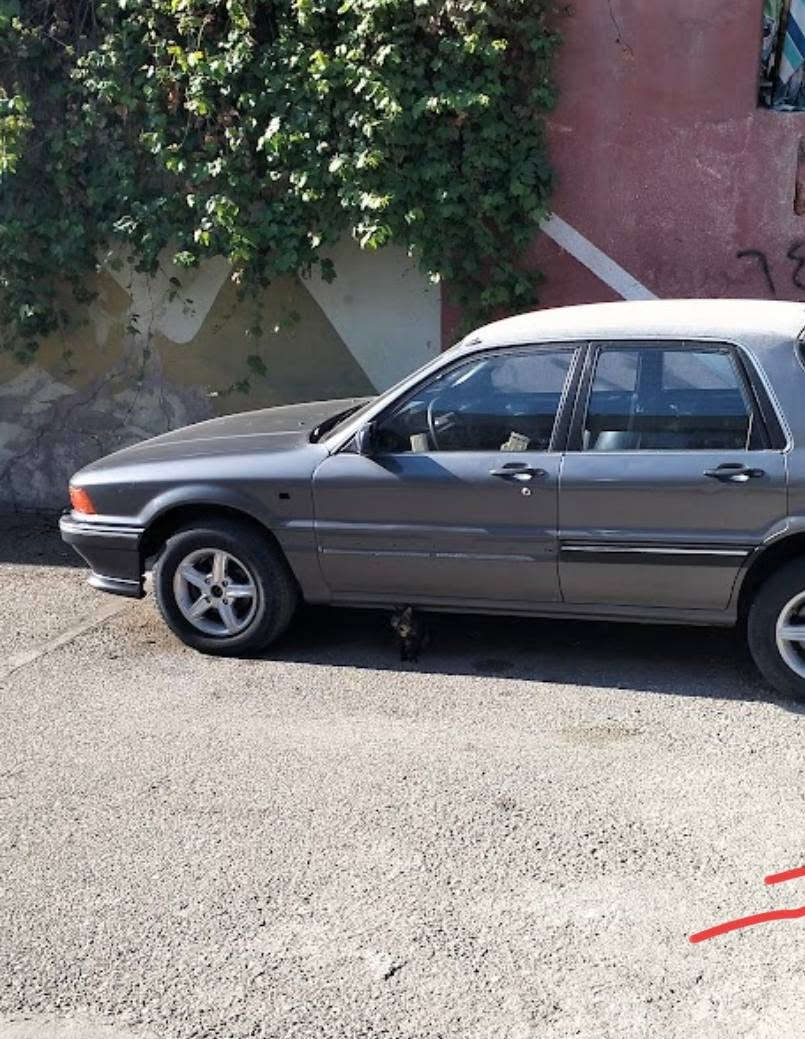 للبيع مسيتبوشي كلانت رقم نينوى موديل 1991 فول عادي بيها صبغ قطعه وحده بدون حادث محرك أصلي بينو صرف بدون رخاوة محرك 37 تايرات الخلفي قبل عشرة أيام مشدودة ومعها زوج أمامي بعد مامشدود ومعها مشط استيرن جديد مآل تفليش اوربي اعطيك مشط استيرن سعرها 3 وراقات مع السيارة؟ ***********// *********** بيها بطاقه بانزين
