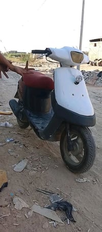 بطه • شغاله • سلف