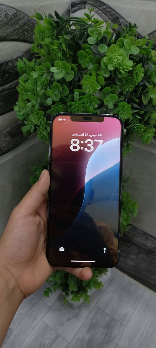 🔥 للبيع | iPhon 12 Pro Max 🔥
📱 الذاكرة: 256GB

✨ جهاز نظيف جداً وحالة ممتازة

هديه حافظة+لاصق شاشة اصلي من الدرجة الأولى

💯 النظافة: 100%بل90

🖥️ الشاشة مستبدلة أصلية

🔋 بطارية 82 مال تفصيخ

♦️والضهر بي فطر زغير ما مأثر نهائياً

💰 السعر:  330الف فقط

📍 الموصل – مزارع زيونة
📞 *********** | واتساب او خاص
🚚 متوفر توصيل
