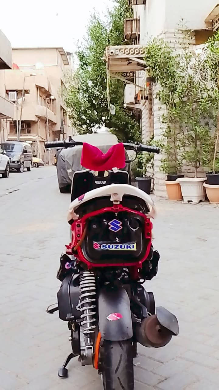 ماكس عدلة • بوشته ٥٥ • سلف رياضي