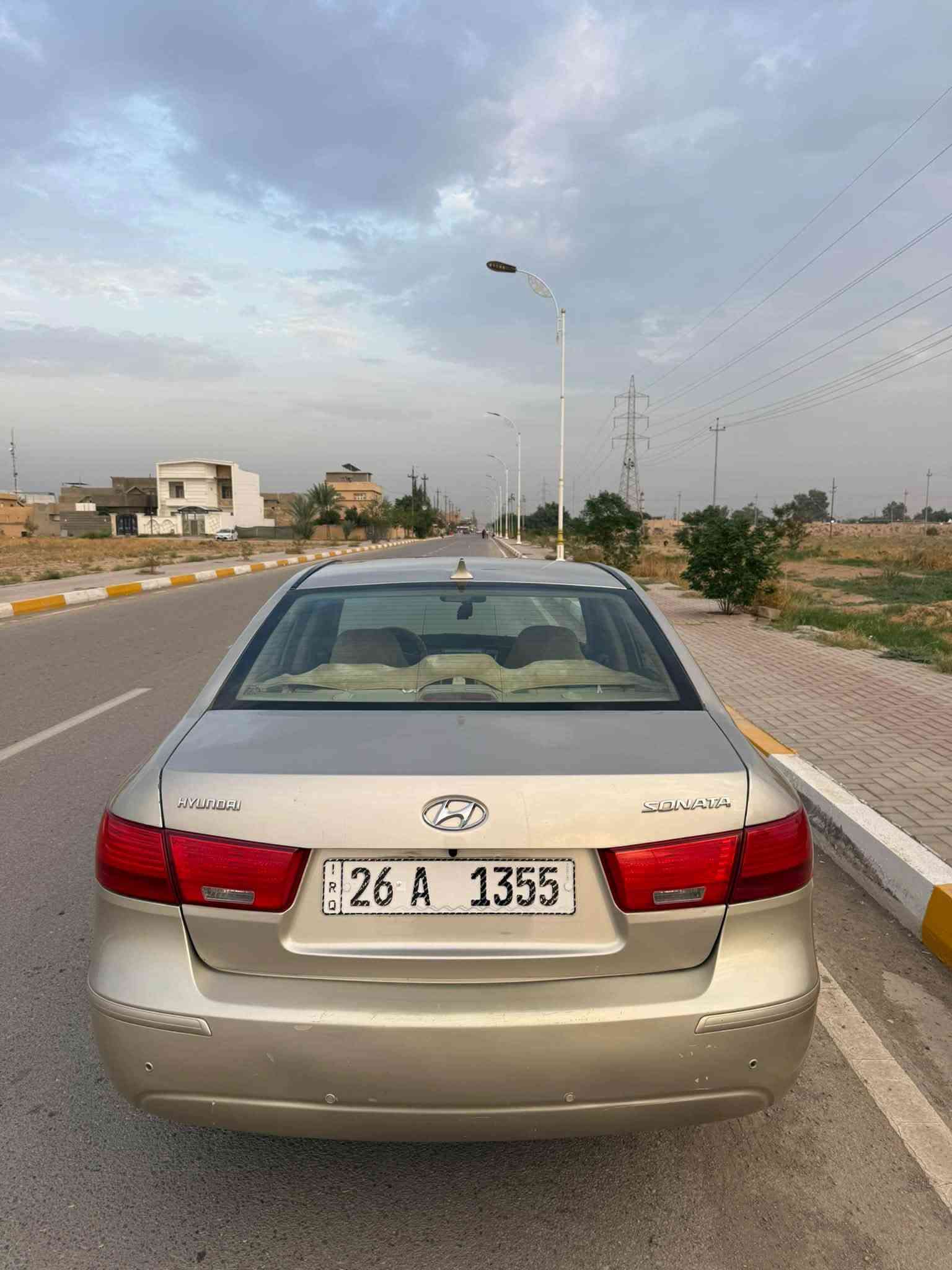 سوناتا • ٢٠١٠ • وارد امريكي