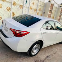 كورلا • ٢٠١٩ • رقم بغداد