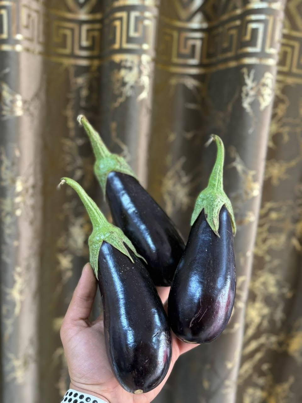 خيرات بسماية • خضار وفواكه • طماطة عراقية