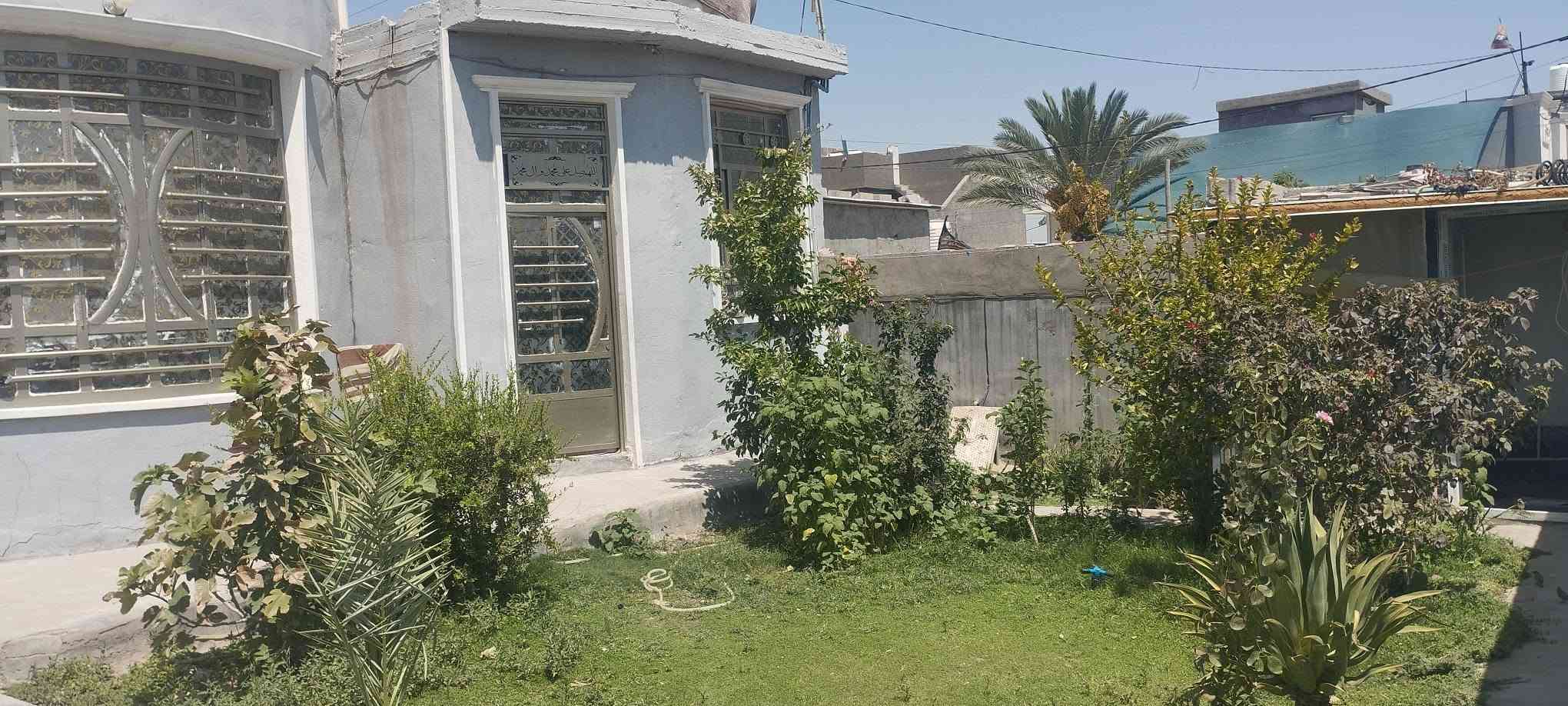 بيت للبيع في حي الدواغنه مساحه 250 متر غرفتين وهول ومطبخ ومضيف وصحيات داخليه وخارجيه +ترك خلف البيت متر ونص متوفره بيه جميع الخدمات موقعه حلوو بالوجهه صاد على حي ذويب الثالث معروض ب 54 وبيه مجال للشراي للاستفسار الاتصال على *********** او المراسله على الخاص
