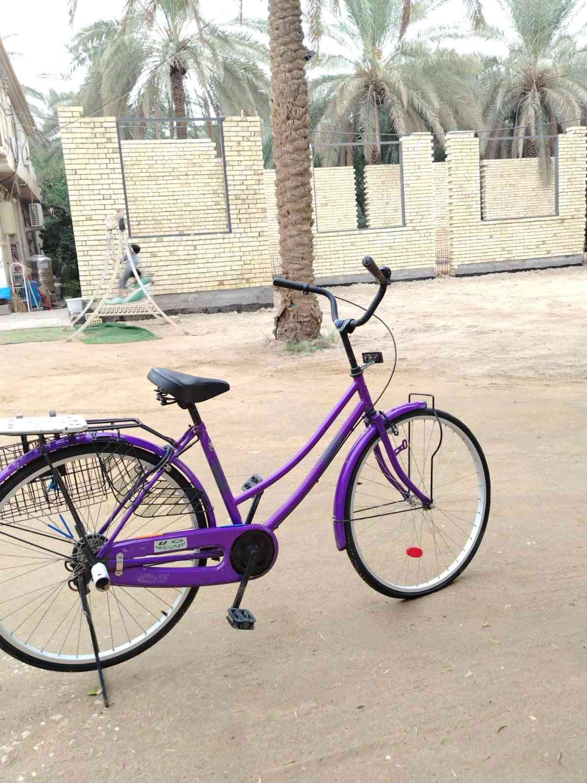 بايسكل • حجم ٢٦ • بنفسجي