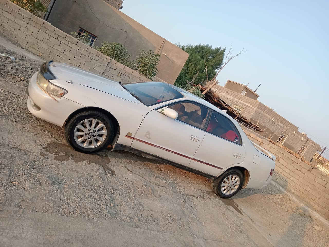 شيزر • سنويه 28 • رقم بصره