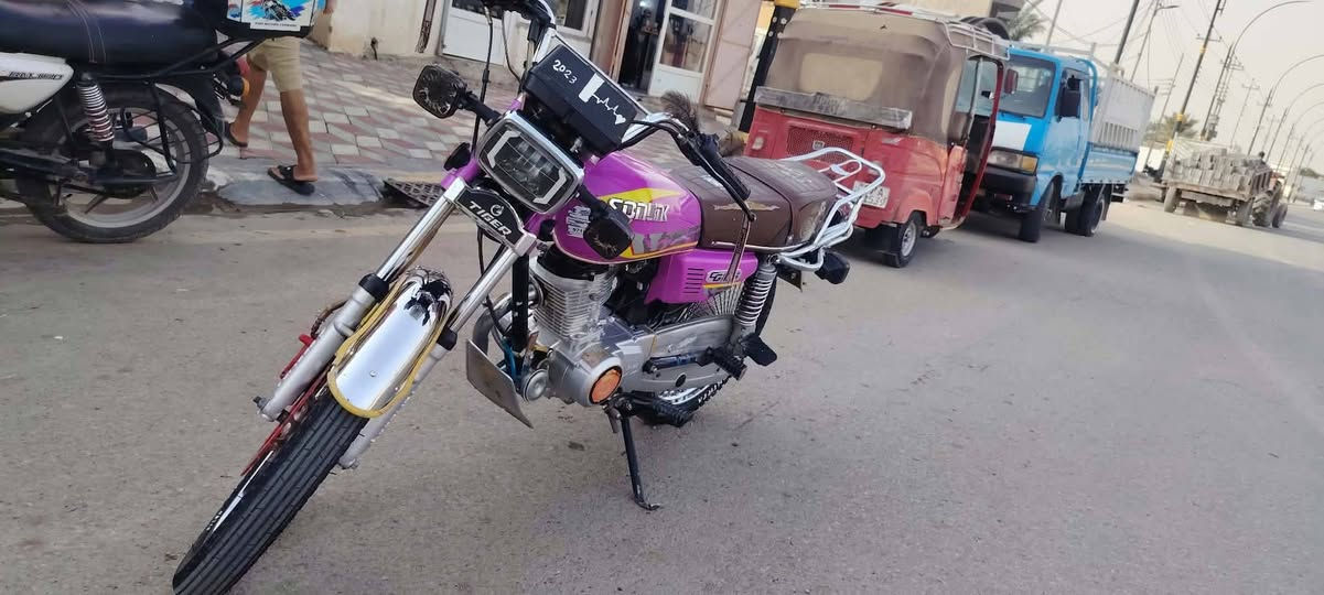 تايجر • موديل ٢٠٢٣ • اوراق كامله