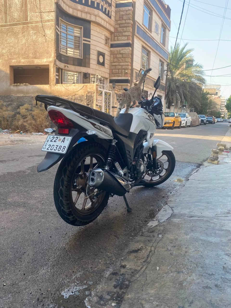 دراجة RK200cc 2026 الدراجة زيرو ممشاها ١٣٠٠ الدراجة وكالة عجلة الخليج وبعدها تحت الضمان لحد الان باقي ١٠ اشهر او ٢٠ الف كيلو على المكينة والكير بيها رقم وسنوية اربيل تروح لاربيل وتحويل مباشر بأسمك قبل نهاية ٢٠٢٦ 
السعر مليونين و٧٠٠ الف
سبب البيع اريد اشتري بطح لحد يصير لوتي ويكسر بالسعر الدراجة زيرو وبعدها تحت الضمان فقط تروح للشركة تسوي مكاتبة بأسمك مابيها اي نقص حتى دهن مصارلي يومين من مبدله 
المكان:كورنيش الكاظمية مقابل زمزم فرع مطعم الحيدري
للتواصل ***********

