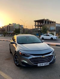 ماليبو بنورما • ٢٠٢٤ • رقم اربيل