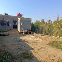 الحيره شارع الصنين • ٥٠٠م • طابو زراعي