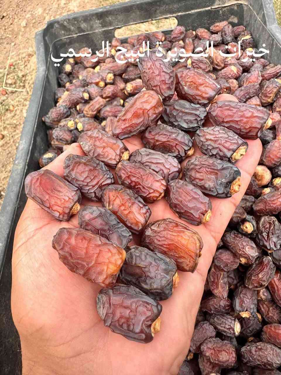 تمر بريم • درجة أولى • خيرات الصويرة