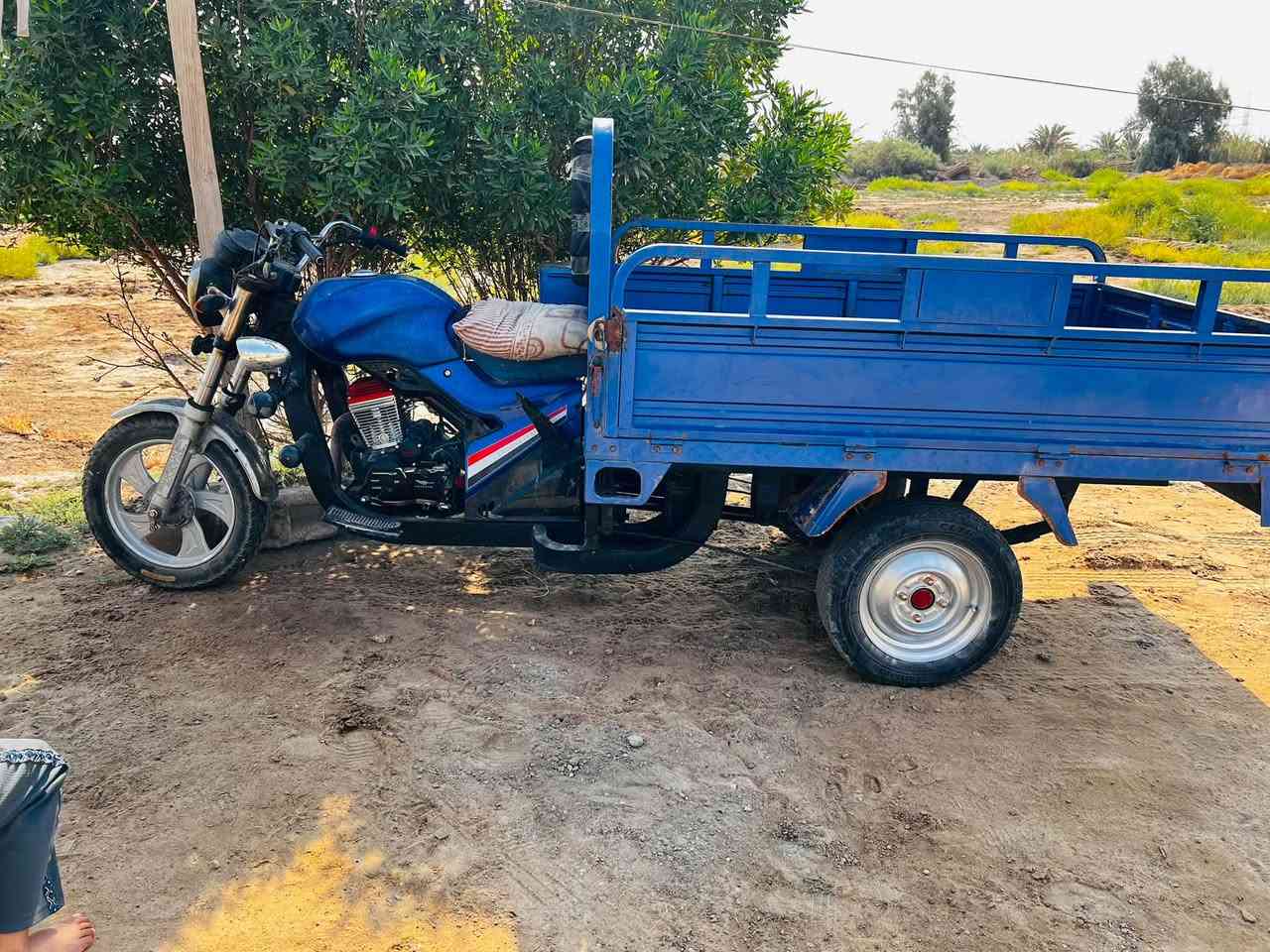 ستوتة جمره فحل للبيع موديل 2023 المكان حي العسكري
***********
