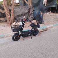 07773580239
