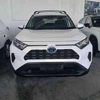 رافور هايبرد • ٢٠٢٤ • دهوك