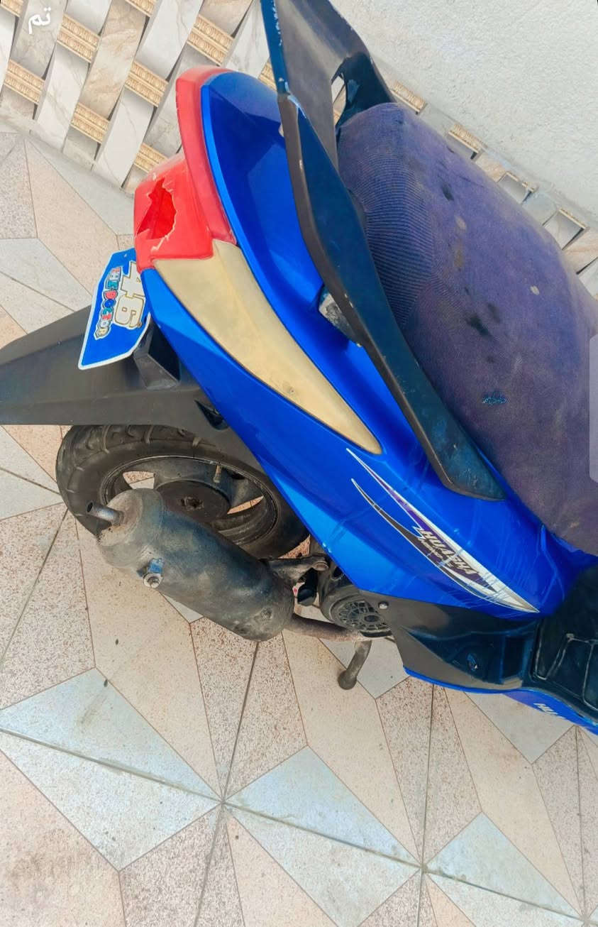سگنس • شغاله • سلف
