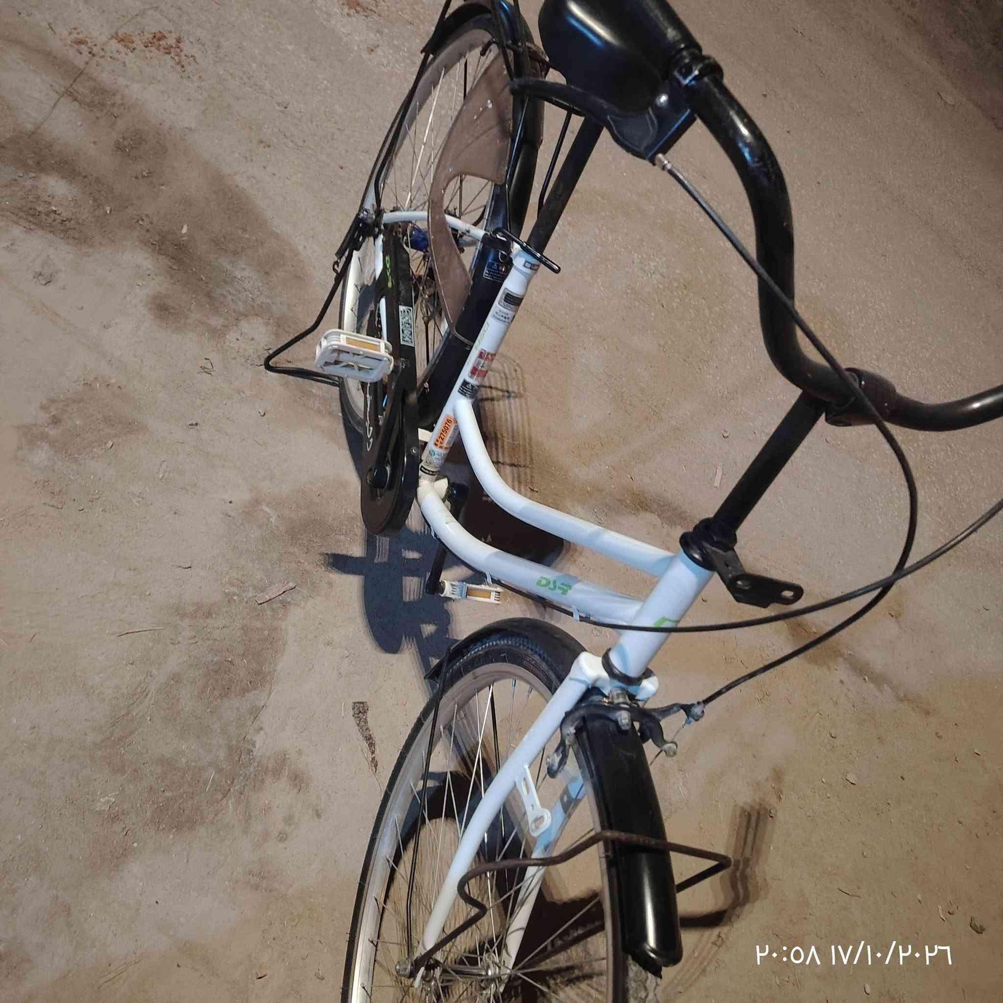 باسكل • ٢٧ • حله الهاشميه