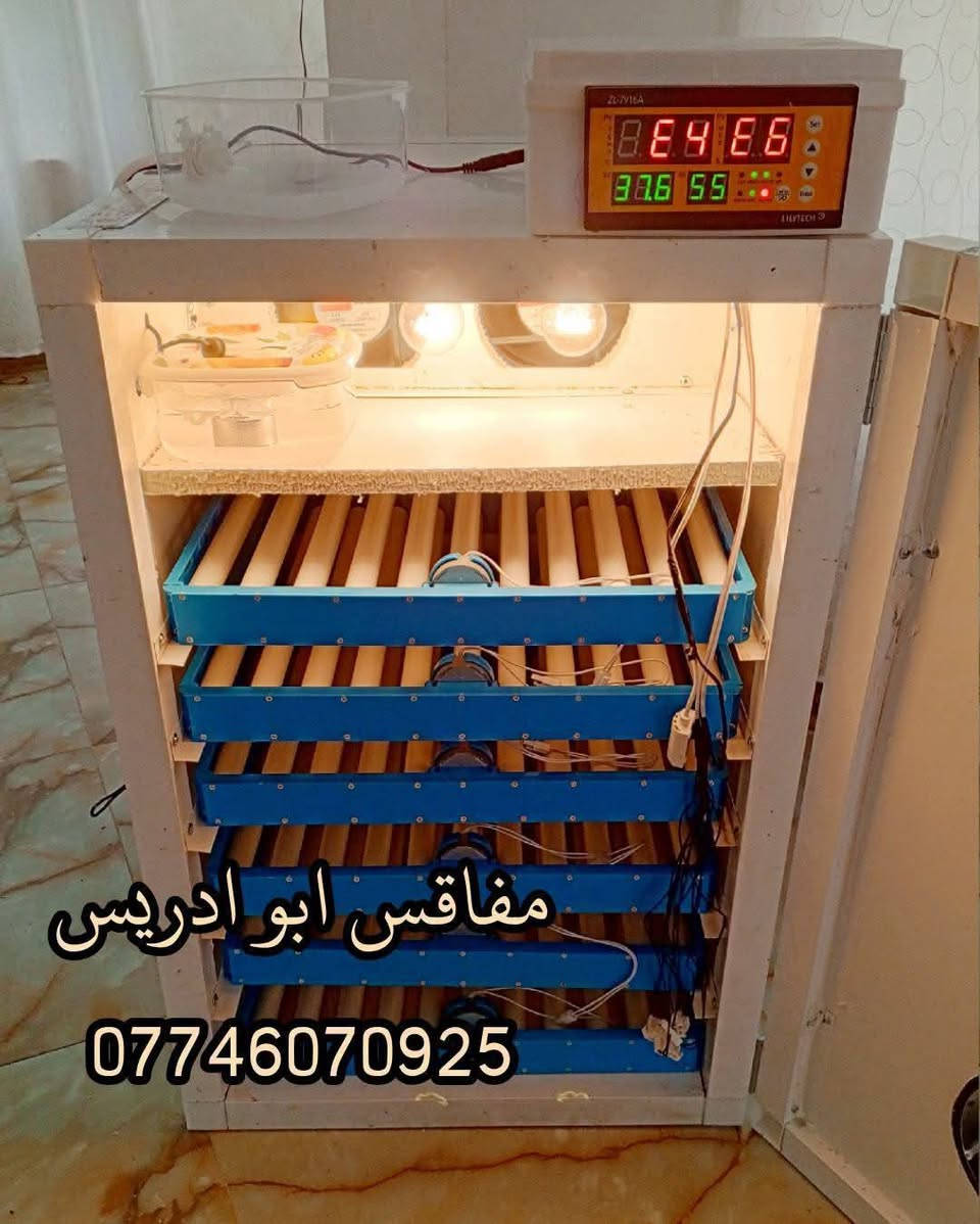 يالله اللهم صل على محمد وال محمد متاح فقاسه المنيوم  حجم ٤٣٢ بيضه فول اوتوماتيك 
سعر 450الف  سعر بلاششششش بلاششششش استخدام مره وحده فقط 
المواصفات 
1-هيكل الفقاسه المنيوم
2-مغلفه بنل عازل 2 سم 
3-متحكم الفقاسه zl فول اوتماتيك حراره ورطوبه وتقليب دبل كارت  الاصلي  
4-الفقاسه بيها  ست قلابات دحرجه شيل كل انواع البيض 
5_صير نظام وجبات
6_الفقاسه معايره بجهاز سويسري جيل رابع (SENSIRION)
7_سله تفقيس عدد 7
الفقاسه كامله من كل شي ومعايره ومبرمجه يعني بس تخلي البيض مع اتباع تعليماتي
متوفر توصيل جميع العراق 
***********
