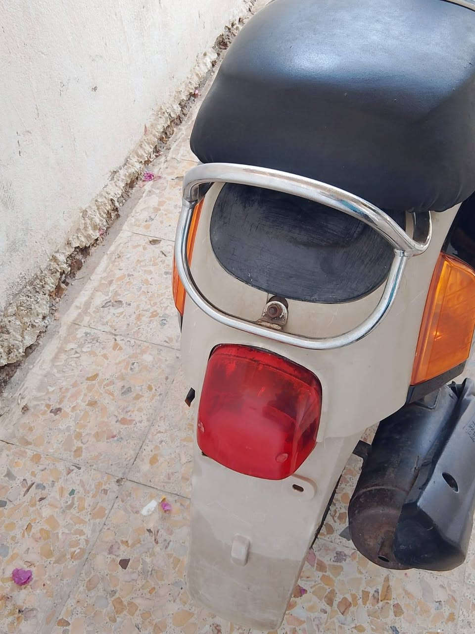بوليس • معدل • نظيفه