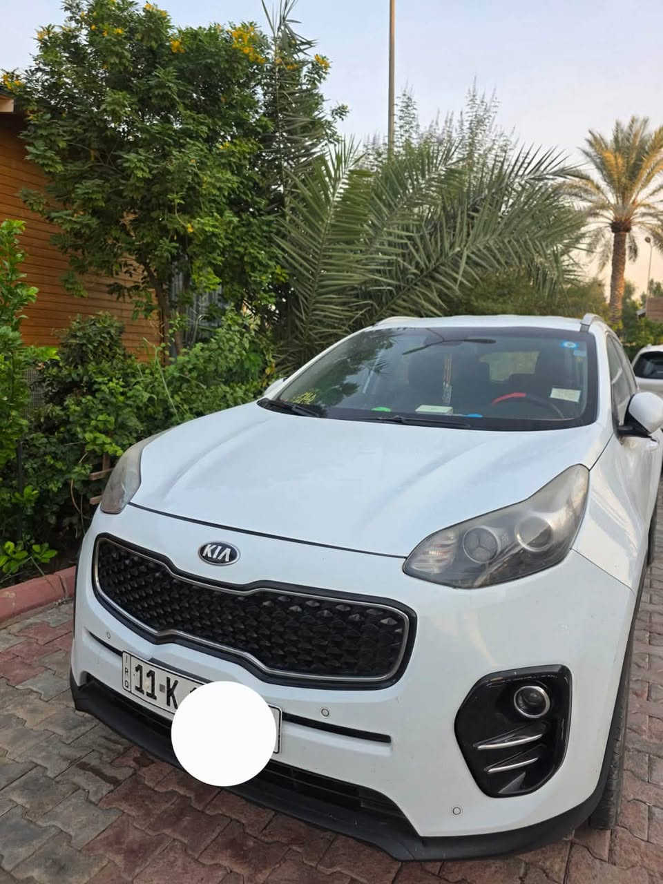 سبورتج • ٢٠١٧ • ١٠٥ الف