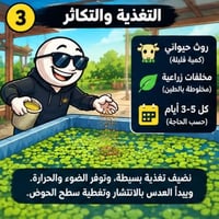 عدس الماء • علف حيواني • سريع التكاثر