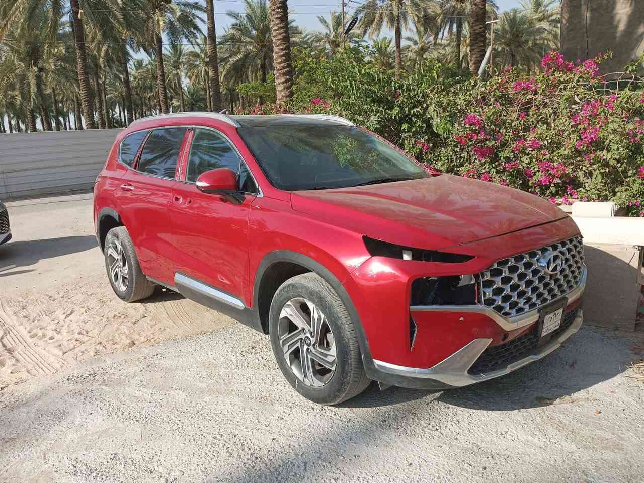 سنتافيا ٢٠٢٣ • بنوراما • بدون رقم