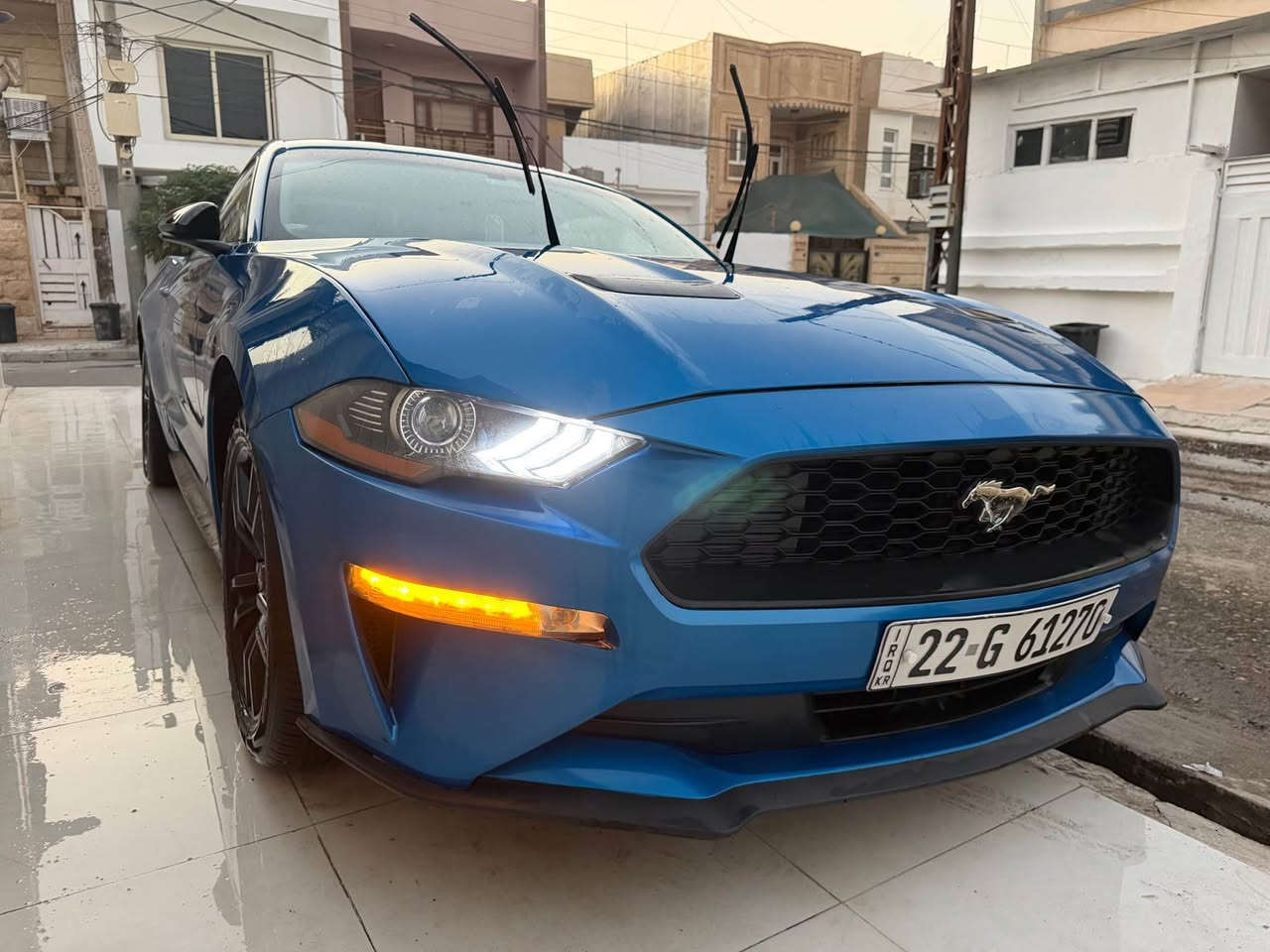 موستانج اكوبوست • ٢٠١٩ • نيلي