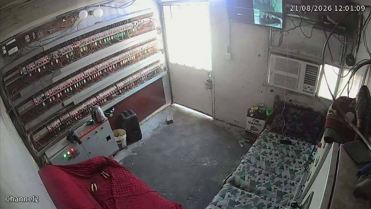 موقع للبيع في الكمالية المعوقين، الحمل 750  قابل للزيادة، المكاين 2 شتاير 24، الحصة 250 كيفي، كل الحمل بالموقع بدون كابينات، الگاع إيجار، والموقع ركن
***********
