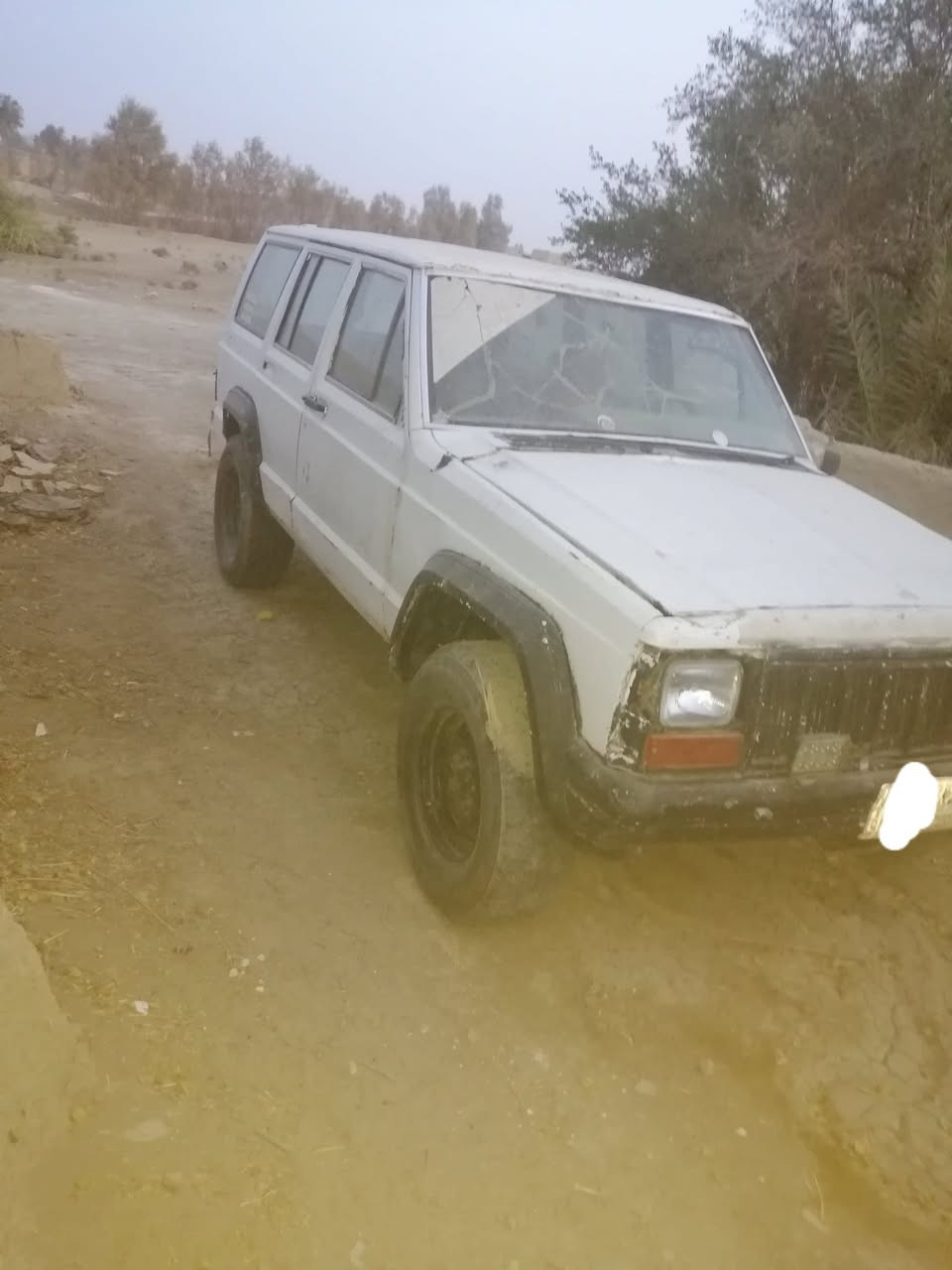 جيب • محرك ٣٠٠٠ • الديوانيه