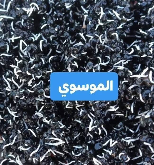 بذور بصل عريب ابو جرخ الحار 
درجه اولى معرب على ادينا ملگط راس راس 
العنوان بابل الكفل ***********
