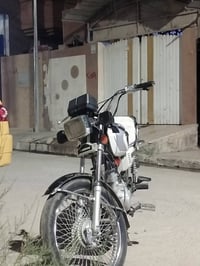 تايگر • ٢٠٢٠ • شغاله