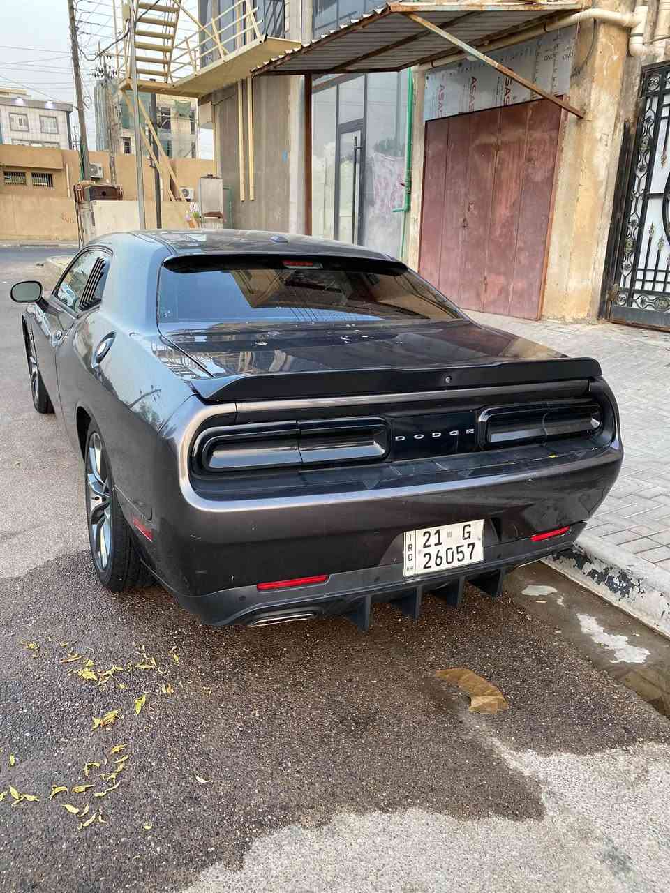 جلنجر • ٣٦٠٠ • تحويل ثاني يوم