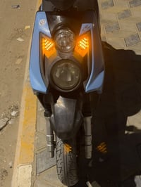سكنس جبلي للبيع صارلها شهرين من طالعه من الحاويه ابيعك مكفول النضافه ش...