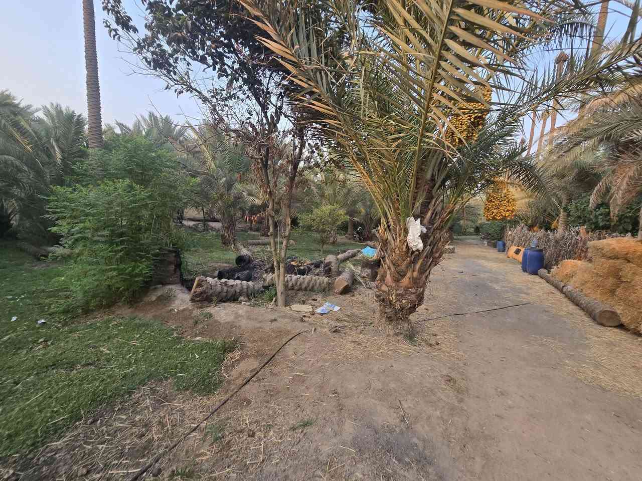 يالله أللهم صل على محمد وآل محمد) 

للبيع قطعة مساحة  1540 متر مع بيت 🏠 بناء قديم طابو زراعي 

سند 25 تحويل مباشر بأسم المشتري 

تتوفر كافة الخدمات 

موقع القطعة الحسينية شارع الابراهيمية 

تبعد عن شارع الابراهيمية 50 متر فقط 

وعن جسر 🌉 الابراهيمية 500 متر 

موقع جيد 

#السعر   200  مليون 

للاستفسار اكثر اتصلوا بالأرقام التالية 

(  ***********  )(  ***********  )

ابو فاطمة او مراجعة مكتب 🏢 النافعي للعقارات -كربلاء 
النافعي للعقار مكتب النافعي للعقارات كربلاء 
بساتين كربلاء عنوان المكتب شارع الحسينية قرب جسر 🌉 الابراهيمية مقابل شارع عون عل سايد الخدمي 

(*********** )( *********** )
