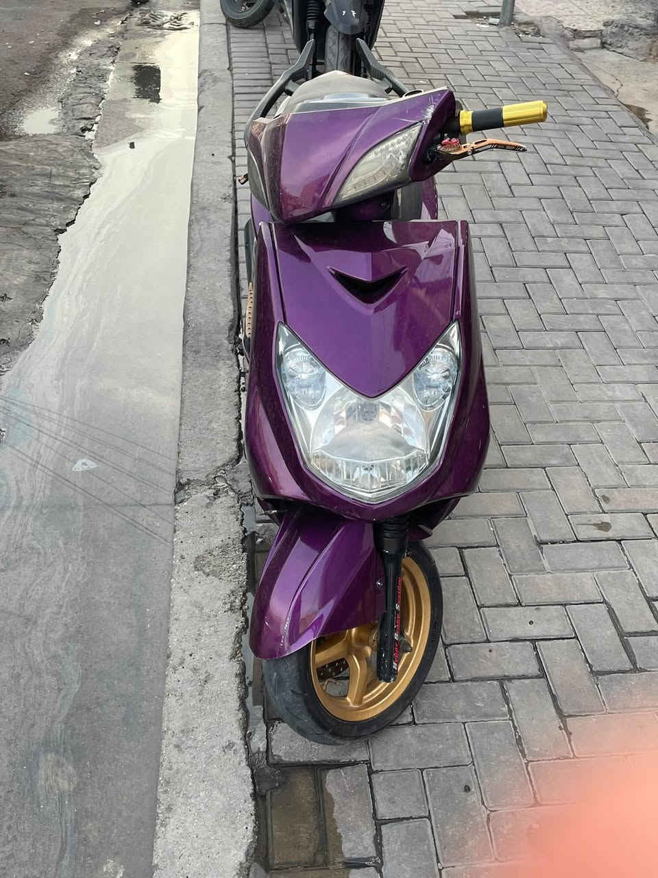 سكنس فحل • كابريتر • مكفولة