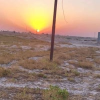 ١٠٠م • طابو صرف • شارع ٣٠