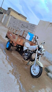 ستوته • موديل ١٢ • ألماني