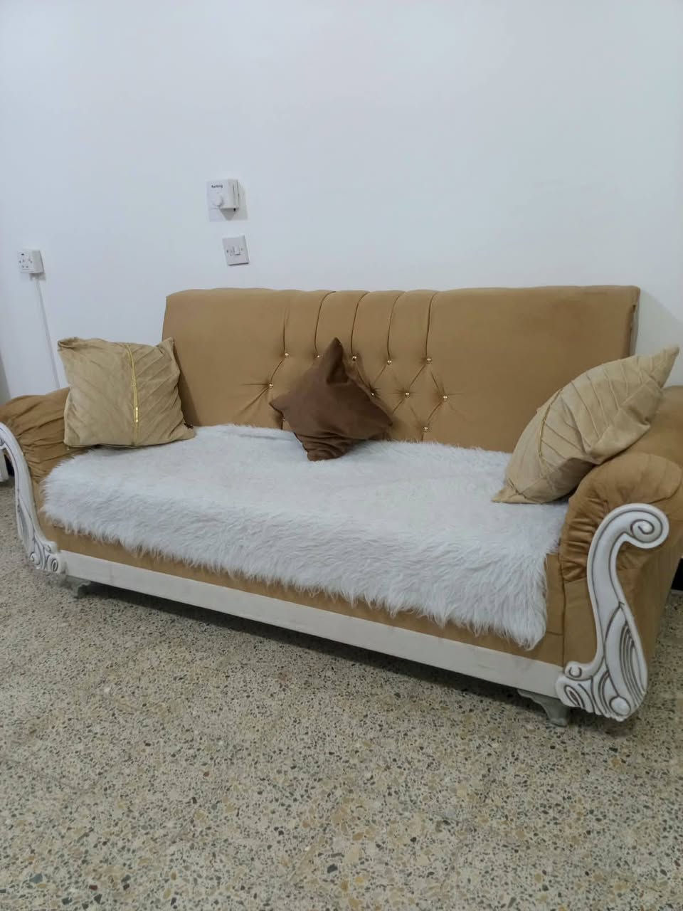 تخم • كنب