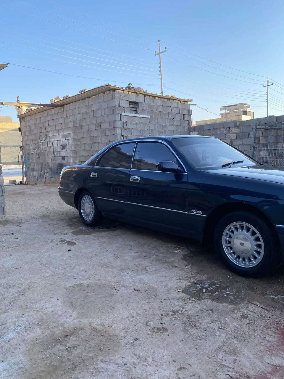 مديل 94 • بطة • مكفولة