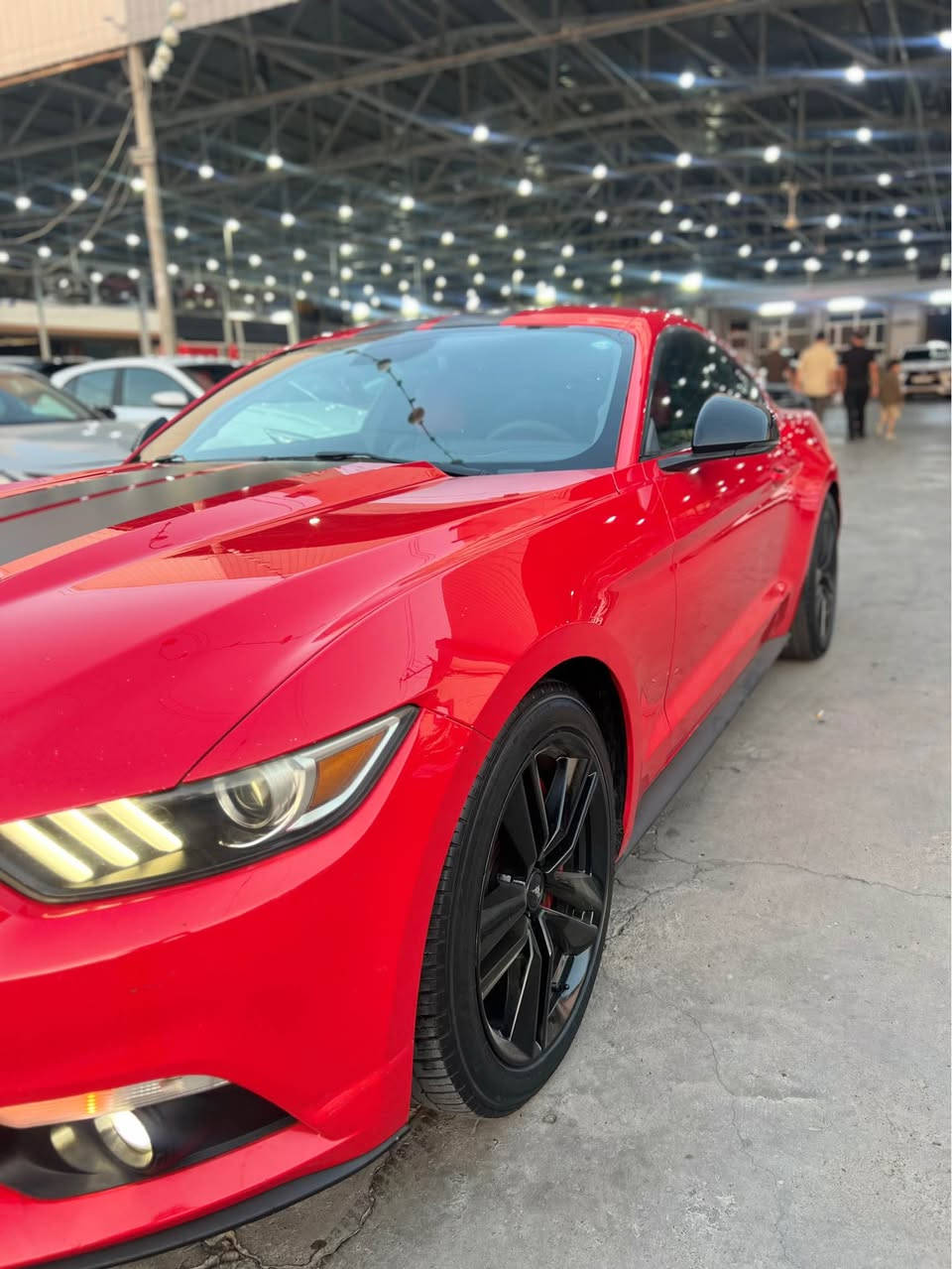 FORD MUSHTNG
موستانگ مودل2015 شه ريكه NIVA سياركه خه ليچي بي سبوخ بي تعديل كلينه سياركه eco bosta V4 هه مو شتي به شه رت 

سعري:115 وه ره قه 
رقمي ساحيبي*********** أربيل, العراق
