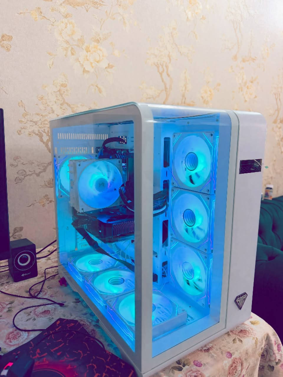 i5 14000f • RTX 5060 8G • شاشة ٢٧ ١٤٤هرتز
