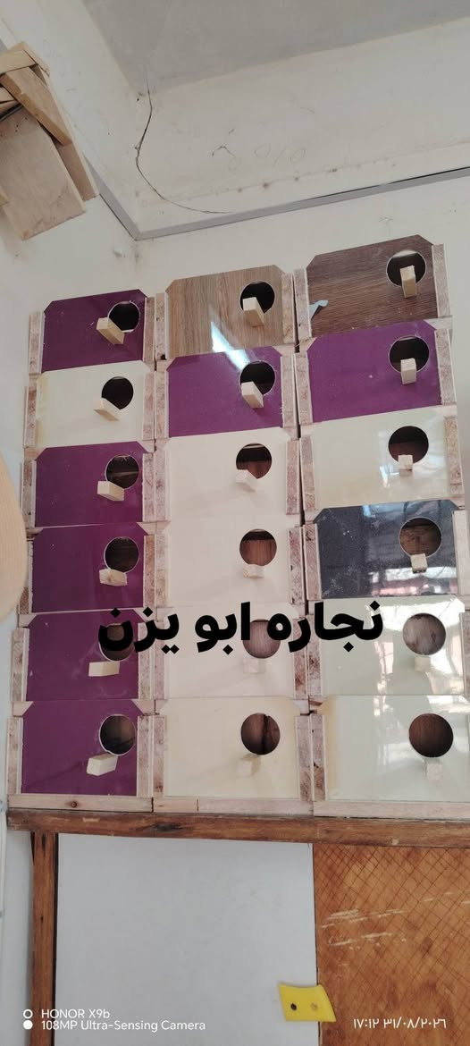🕊️ يا الله التوفيق

متوفر بيت كناري جملة ومفرد 🐦
وبـ أنسب وأفضل الأسعار 💰✨

✅ جودة ممتازة
✅ تجهيز مرتب
✅ أسعار مناسبة للجملة والمفرد
📦 الكمية محدودة

للطلب والاستفسار تواصل معنا ***********📞
أهلاً وسهلاً بالجميع 🌹
