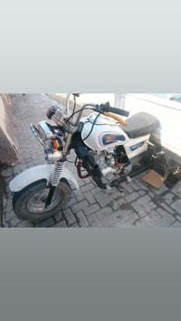 ستوته • موديل ١٥ • مرقمه