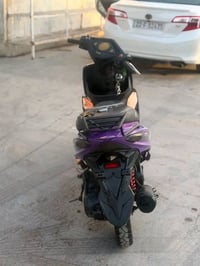 سكنس فحل • كبريتر تعبان • اوراق كامله