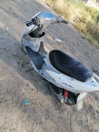 ماكس • مكفوله