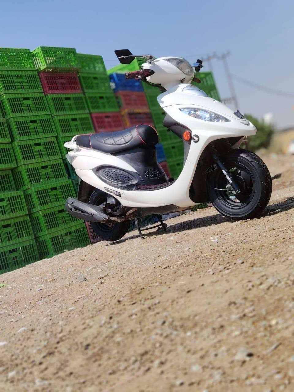 كامكو فحل للبيع  مكفول كفاله عامه
رقم  ***********
