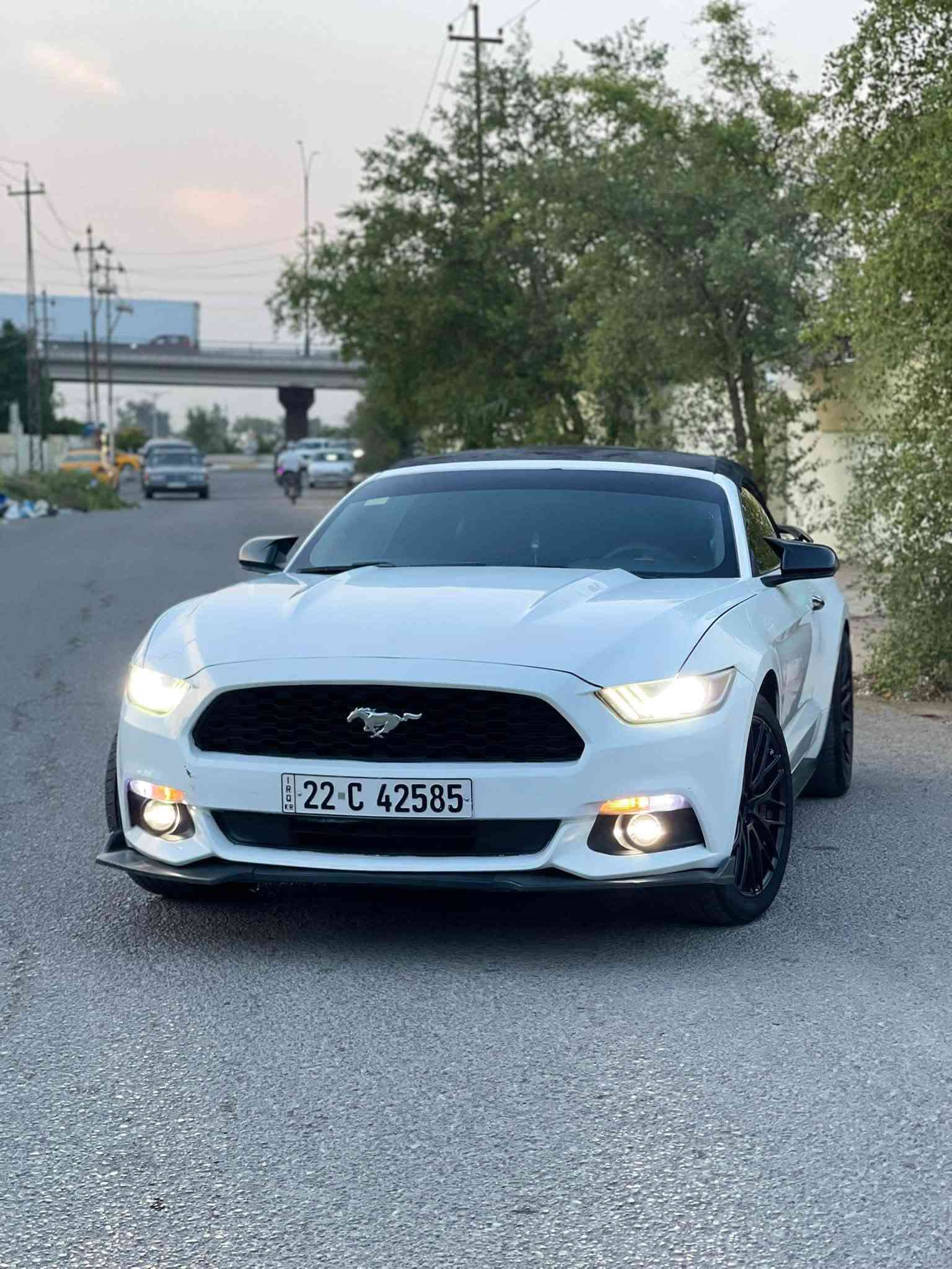موستانغ • ٢٠١٥ • رقم اربيل