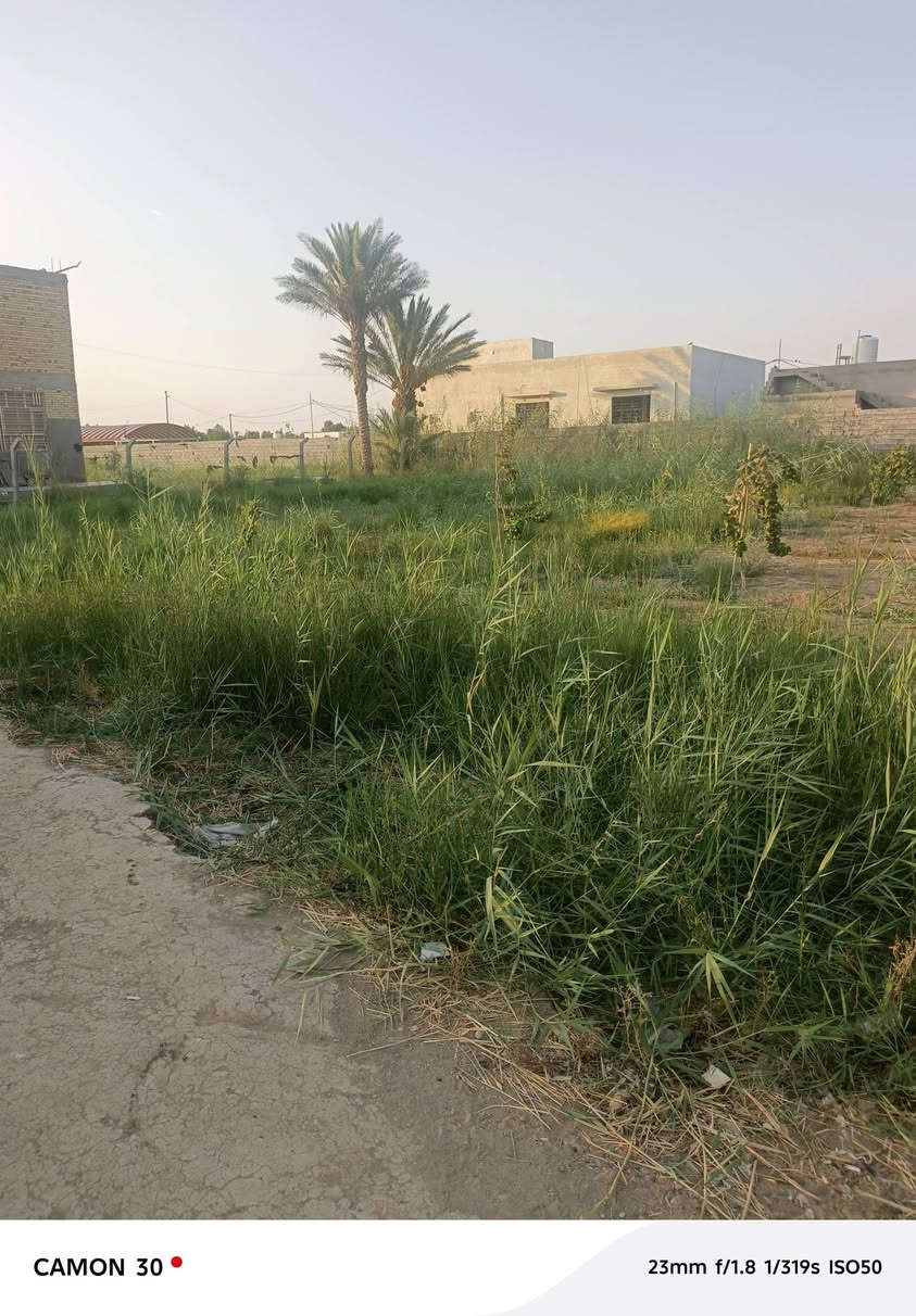 السلام عليكم عندي نص دونم محتاج فلاح يرتبه للتواصل ***********
